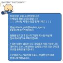 꽃강아지 | 꽃보다펫 x 키키에이전시 강아지모델 등록 후기(하쮸, 5살 기념 프로필 촬영ㅋㅋ)