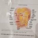 무드멍 | 삼송 피부관리 매너무드스킨 윤곽관리 대만족 추천 후기
