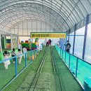 온가족놀이터 | 대구 아기랑 가볼만한 곳 키즈카페추천 러키더키, 패밀리랜드 온가족 체험 후기