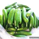 범석농장2 이미지