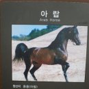 파라벨라