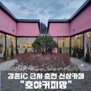 호야커피빵 | 애견동반 가능한 강촌IC 근처 춘천 신상 카페 &#34;호야커피빵&#34;