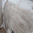 그린파크 맨션 이미지