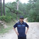 휴가(통고산자연휴양림)