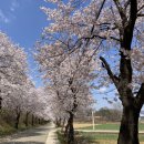 비슬로63길 이미지