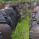 매실농원민박 이미지