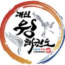 대진 윙 태권도 이미지
