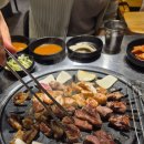 ✨🥩 대전 유성구 '진막창' 찐 후기! 막창, 고기 킬러들 소리 질러! 🥓🔥