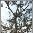 해송농산 이미지