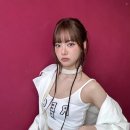 르무드헤어 이미지