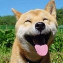 넌센스3 이미지