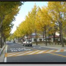 의령여자중학교 이미지