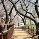 수지체육공원 풋살장 이미지