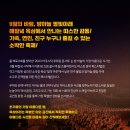 2023 어쿠스틱 루프탑 콘서트 네이버블로그