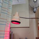 표선한의원 이미지