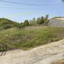 부곡온천부동산중개 이미지