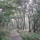 한라산마루