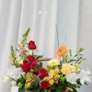 수플라워 이미지