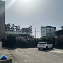 제주도 보리빵 제주도 쑥찐빵 맛집 코시롱보리빵 후기