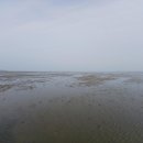 봉암서원(鳳巖書院) | 올해 댜른 다리 : 김구(金絿 1488~1534)