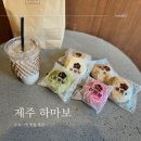 제주 오메기떡 추천 제주도 하마보 찐빵 맛집 인정!