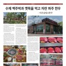 다온숲 암소한우 이미지