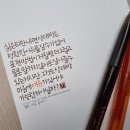 또또형