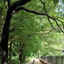 숲속쉼터옆 이미지