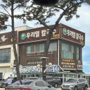대부도 애견동반 식당 솔밭우리밀칼국수 대부도본점 내돈내산 후기