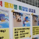 카피센타 이미지