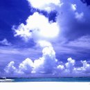 아름다운세상 이미지