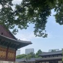 [월간일상] 2023 6월 😶‍🌫️