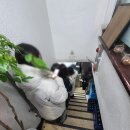 신성식당 이미지