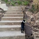 선바우 집 이미지