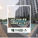 체스터톤스호텔앤드레지던스주식회사 | 체스터톤스 속초 가족여행 숙소 추천, 투룸 가성비 특가