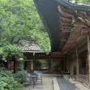 새소리 물소리 | 서울 근교 성남 한옥 카페 전통찻집🍵 <새소리 물소리> 메뉴, 웨이팅, 주차 팁