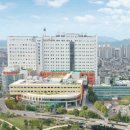 영남대학교 병원 이미지