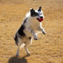 베이지동물병원 이미지