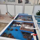 해인물회식당 이미지