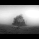 Entrance to the Fog 이미지