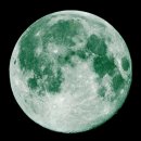 The 休 | [하시모토 쇼헤이] 무대 후르츠 바스켓 The Final 감상 후기