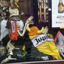 진컨설팅공인중개사사무소 이미지