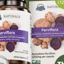 팜 라이프 이미지