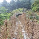 흥산농장 이미지