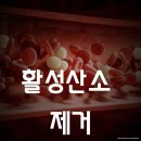 산소클럽 이미지