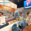 페리카나강화 이미지