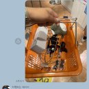 메종리카 이미지