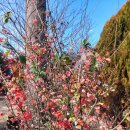 물댄동산 통나무펜션 | 서귀포펜션 - 편안하고 예뻤던 물댄동산 통나무펜션