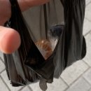 육당약국 이미지