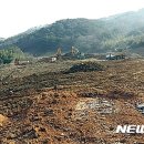 내장산리조트관광지 이미지